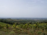 Chianti-2 2016 - 044.jpg